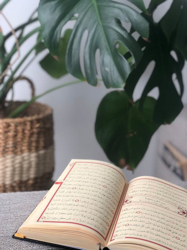 Learn arabic online: personalized lessons for every learner